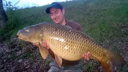 ludo 19,6 kg commune ludo 19,6 kg commune