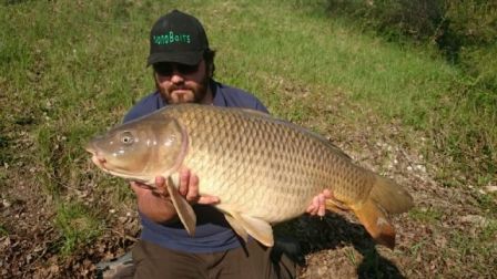 Franck15,4 kg miroir Franck15,4 kg miroir
