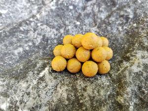 Bouillettes 10mm